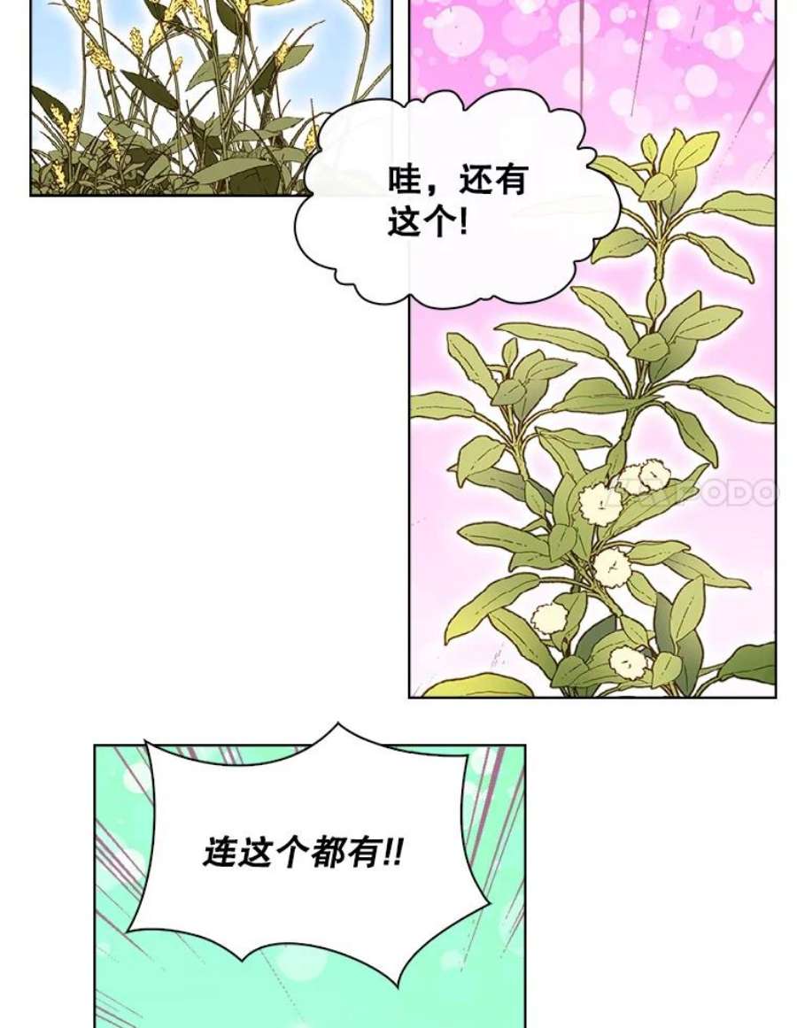 比阿特丽丝12.采草药的小姑娘