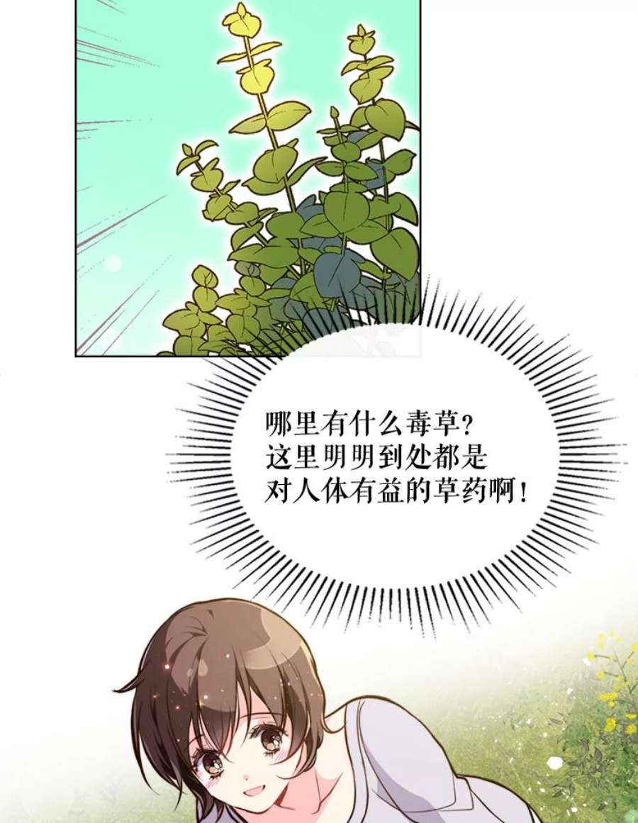 比阿特丽丝12.采草药的小姑娘