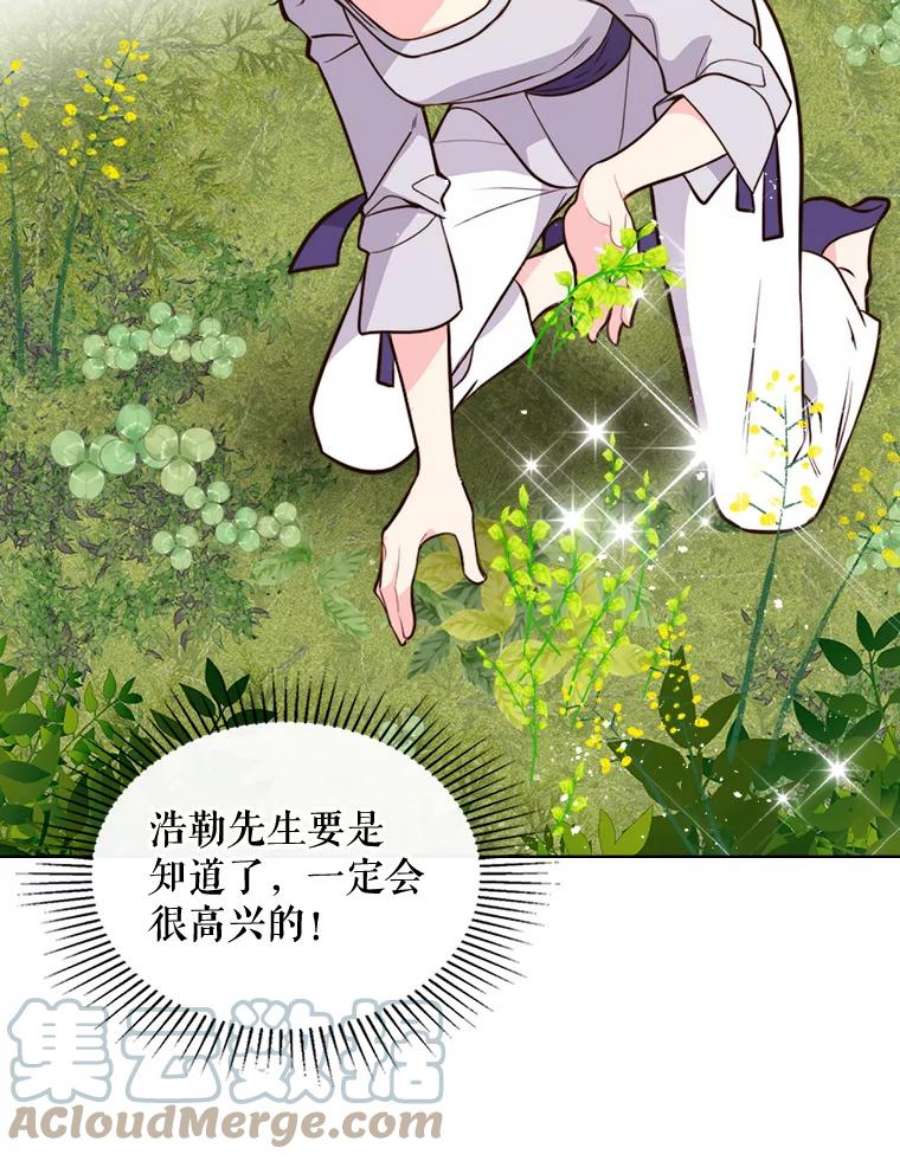 比阿特丽丝12.采草药的小姑娘