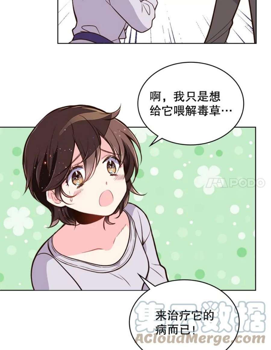 比阿特丽丝13.治疗小黑