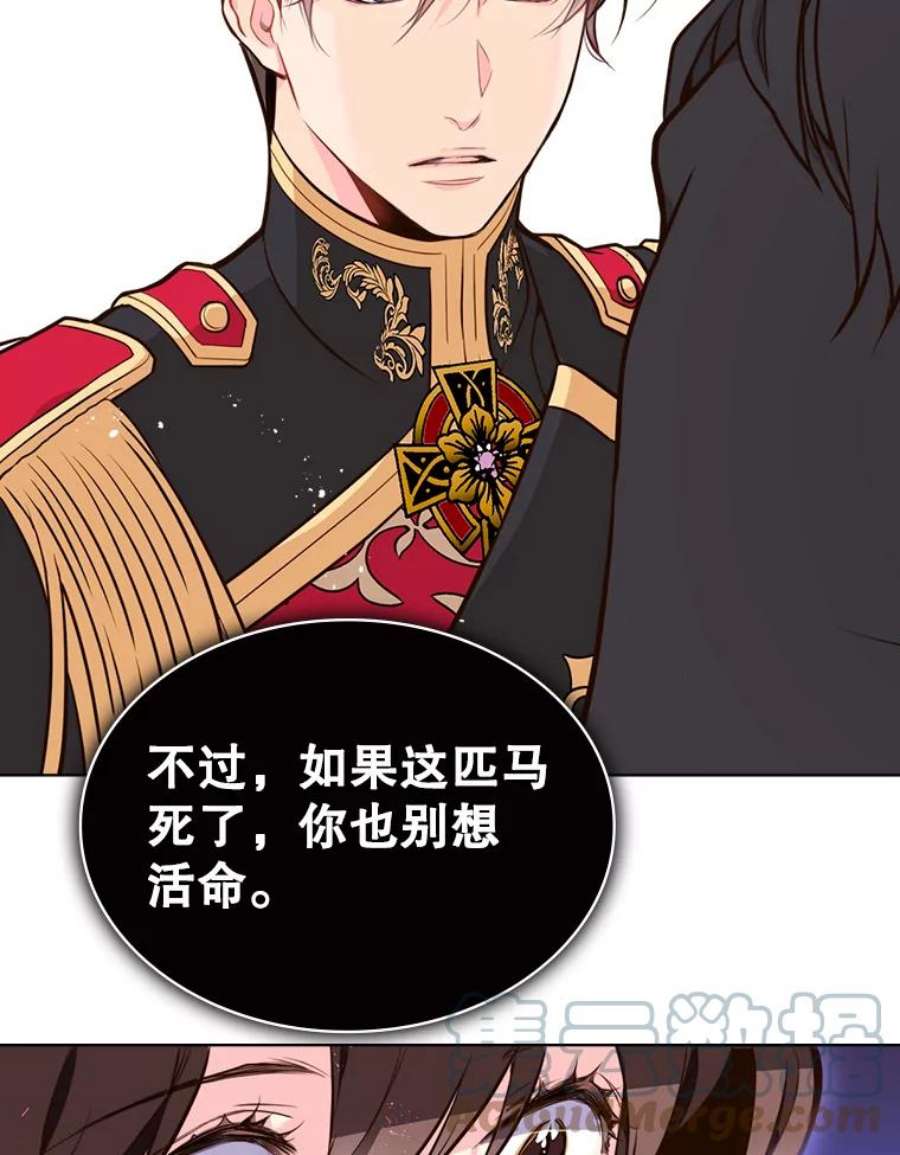 比阿特丽丝13.治疗小黑