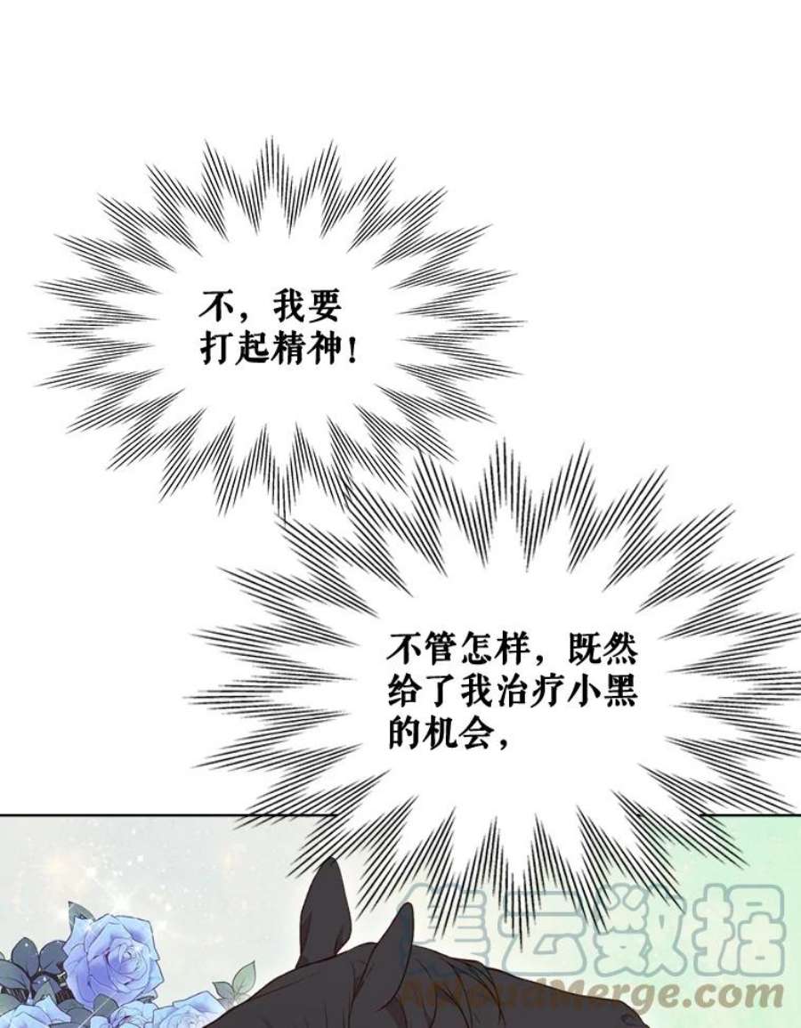 比阿特丽丝13.治疗小黑