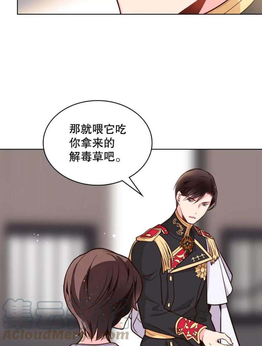 比阿特丽丝13.治疗小黑