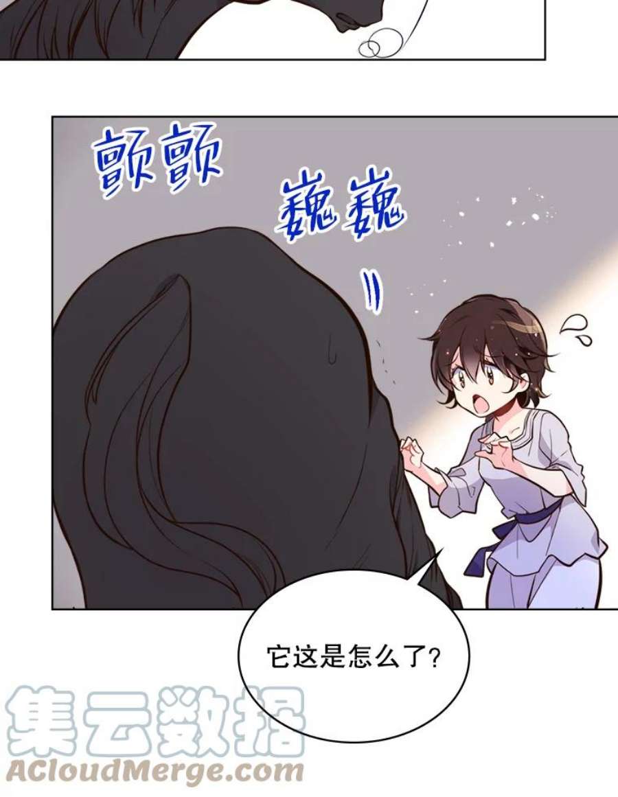 比阿特丽丝13.治疗小黑