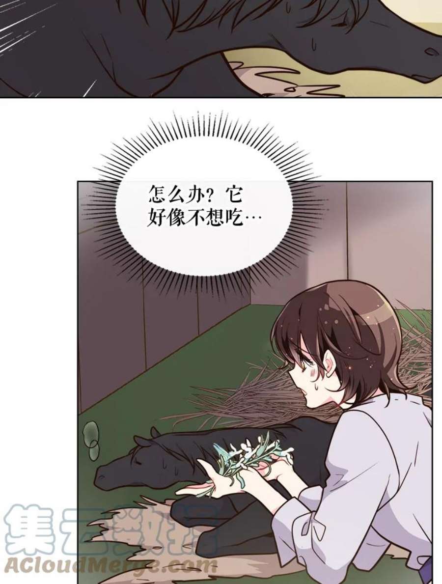 比阿特丽丝14.订婚