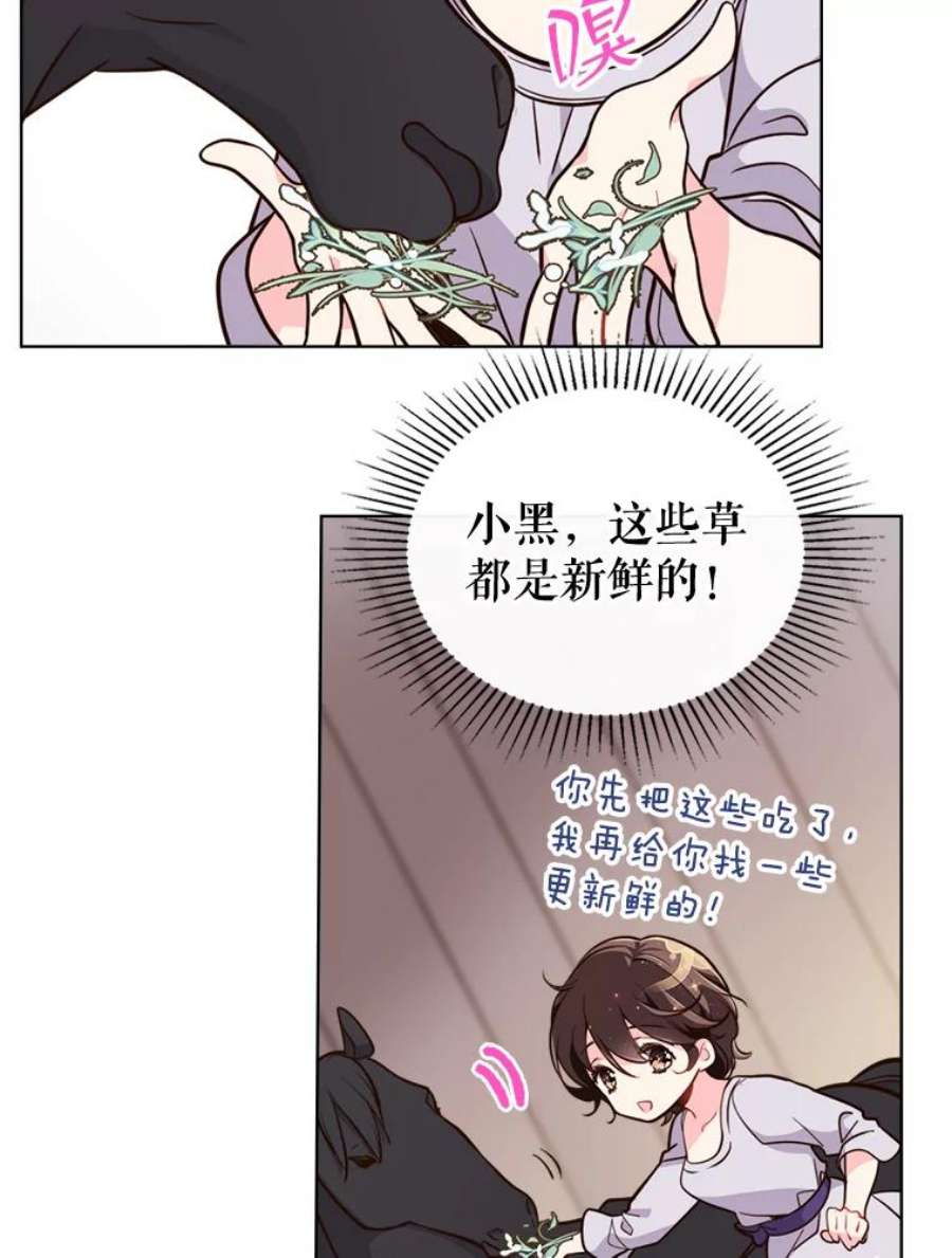 比阿特丽丝14.订婚