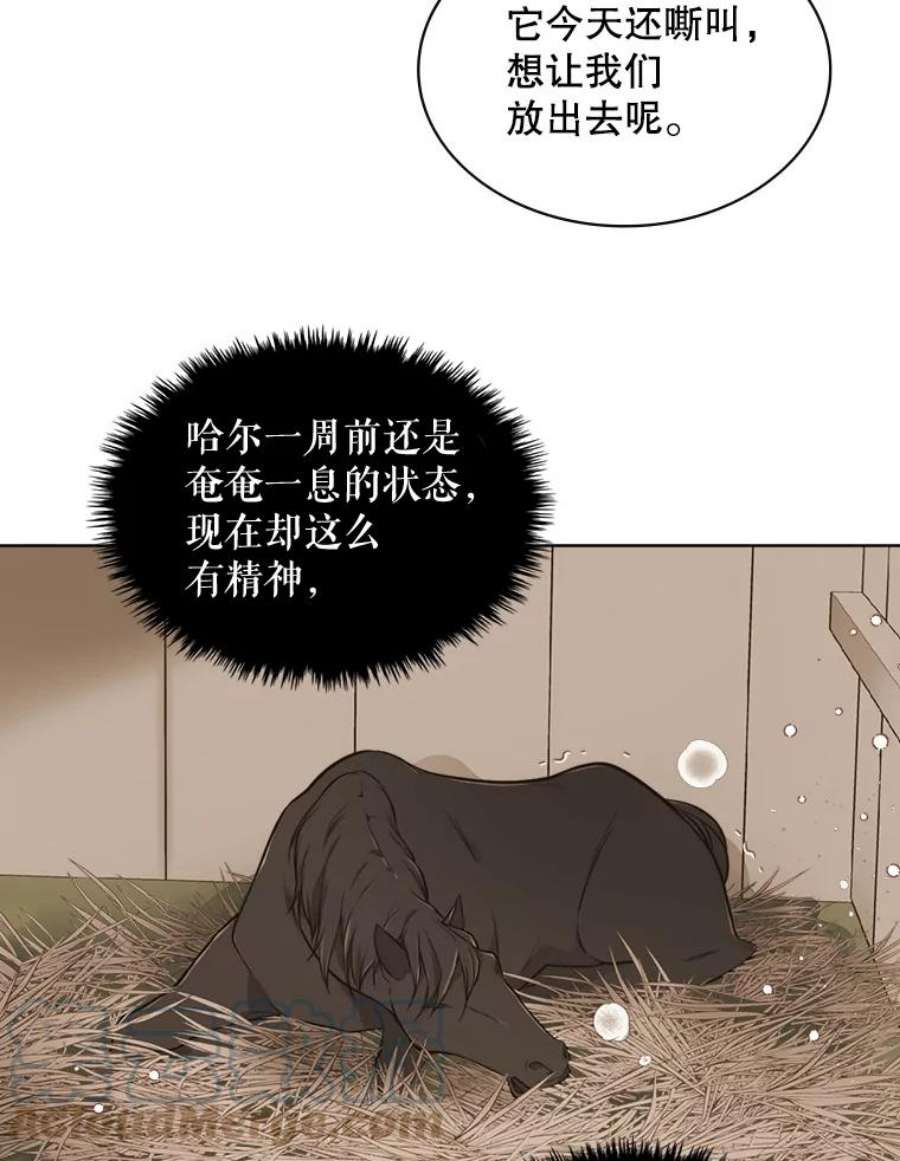比阿特丽丝18.奇怪的她