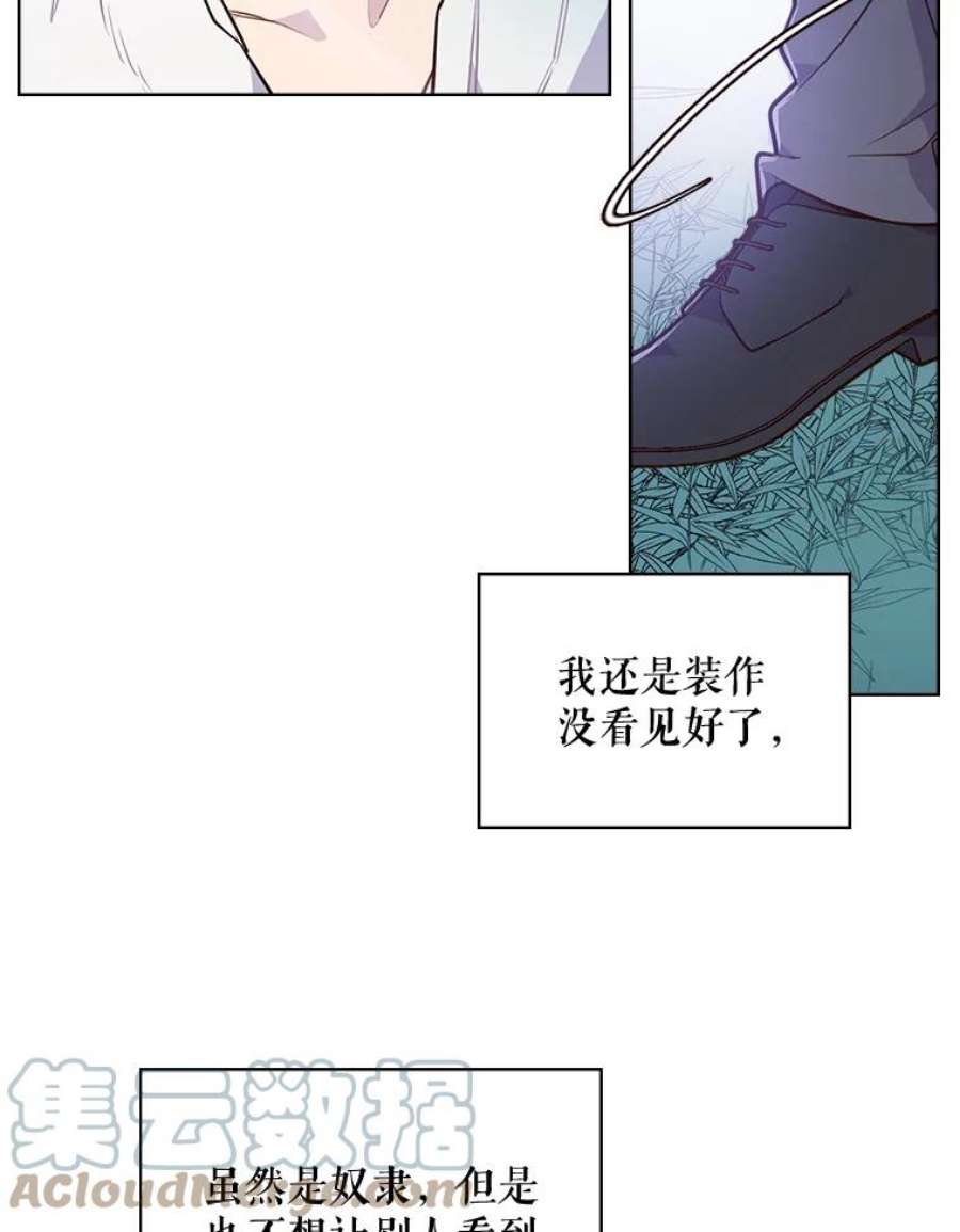 比阿特丽丝23.安营（1）