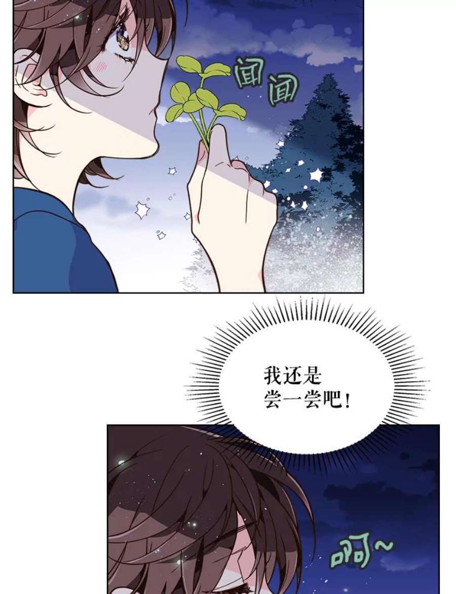 比阿特丽丝24.安营（2）