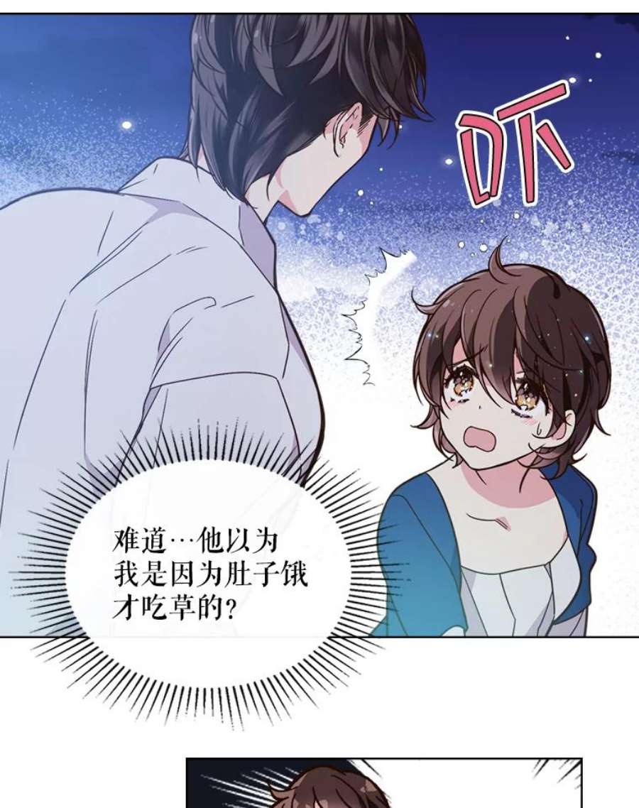 比阿特丽丝25.一个水壶