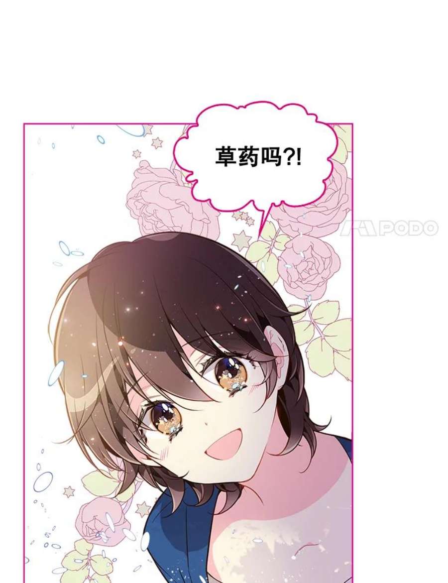 比阿特丽丝29.她到底是什么人？
