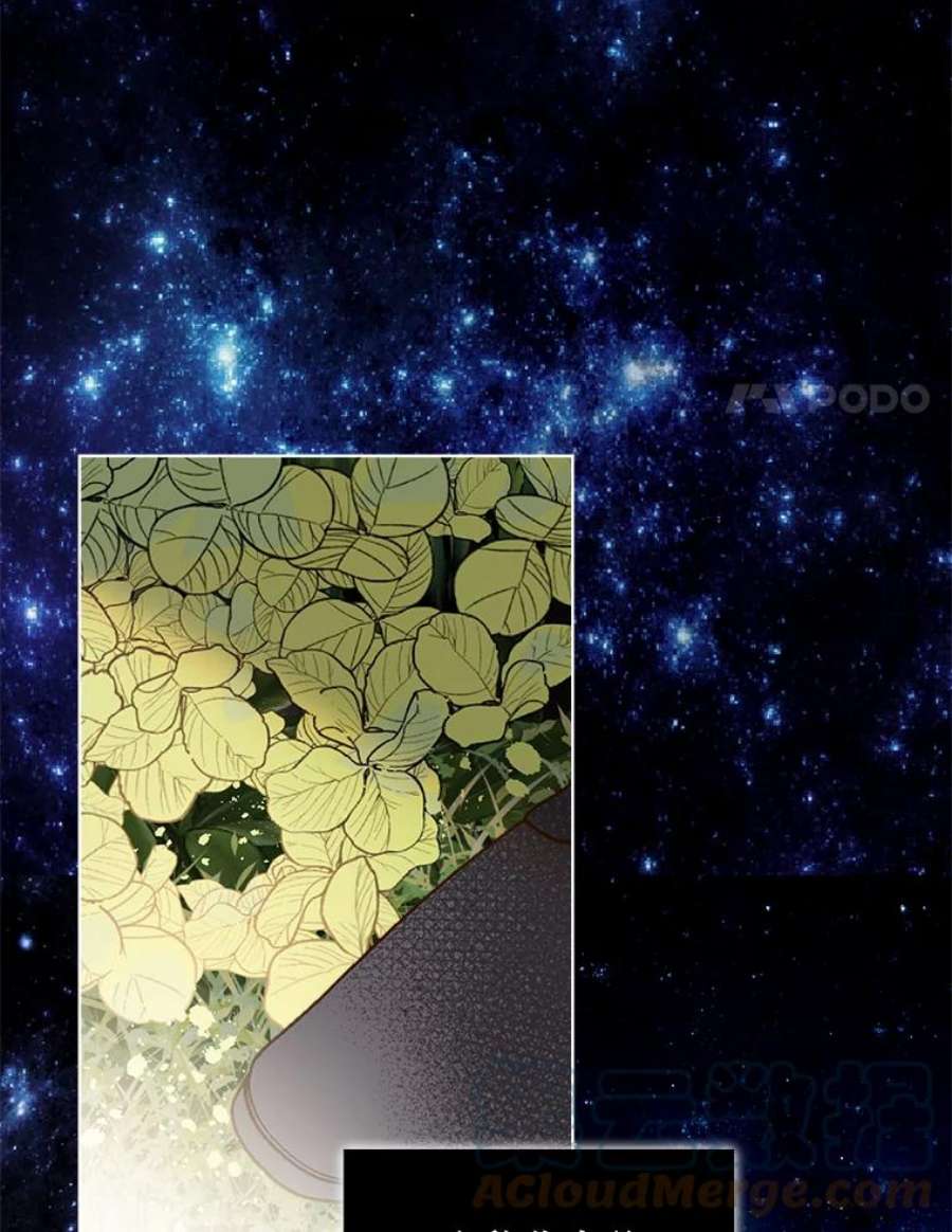 比阿特丽丝29.她到底是什么人？