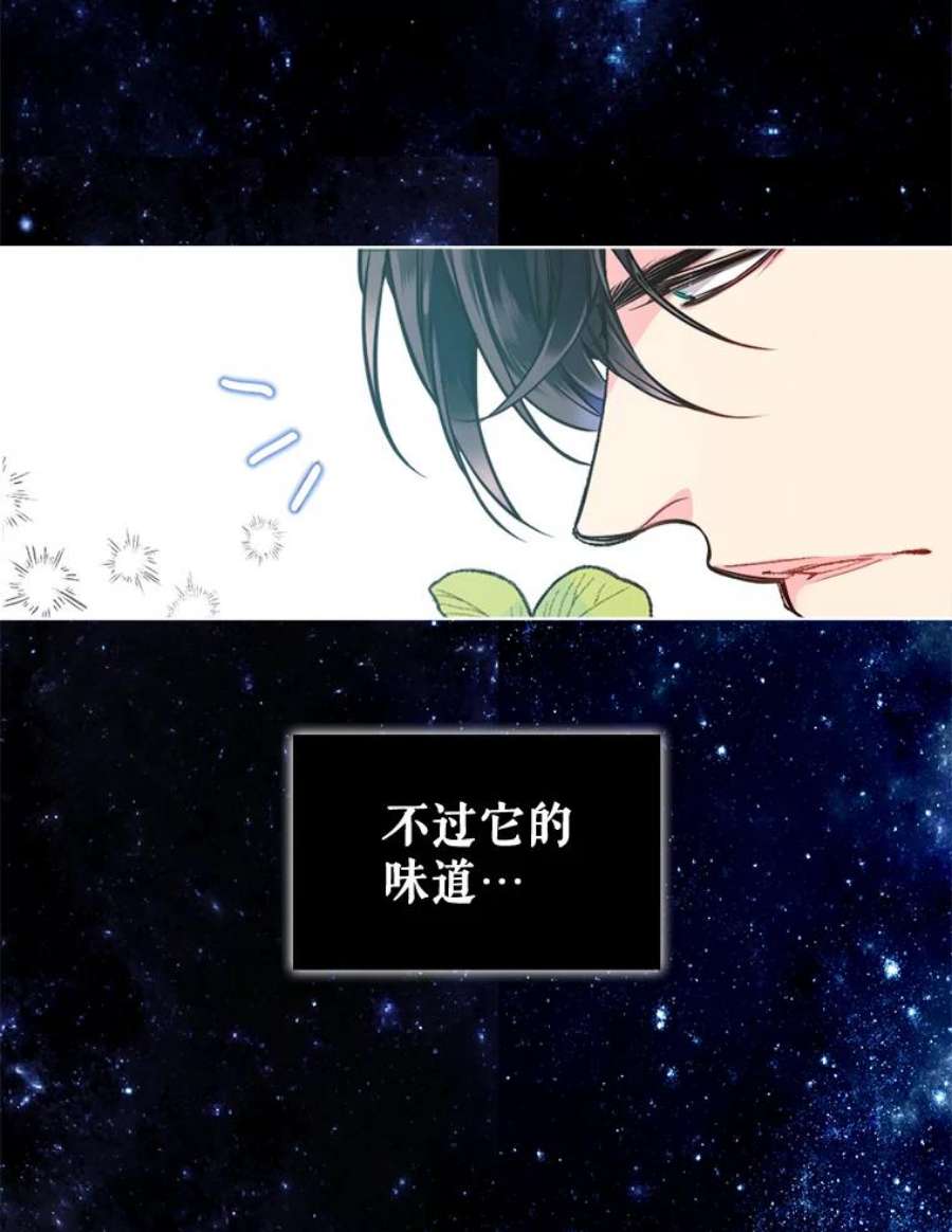 比阿特丽丝29.她到底是什么人？