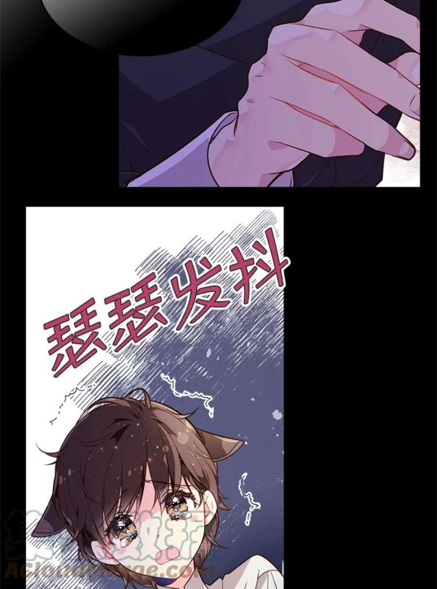 比阿特丽丝30.访问领地（1）