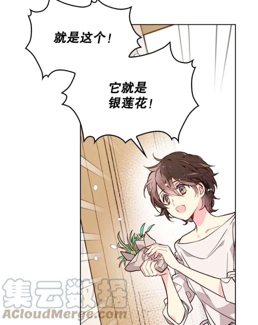 比阿特丽丝33.毒杀事件（2）