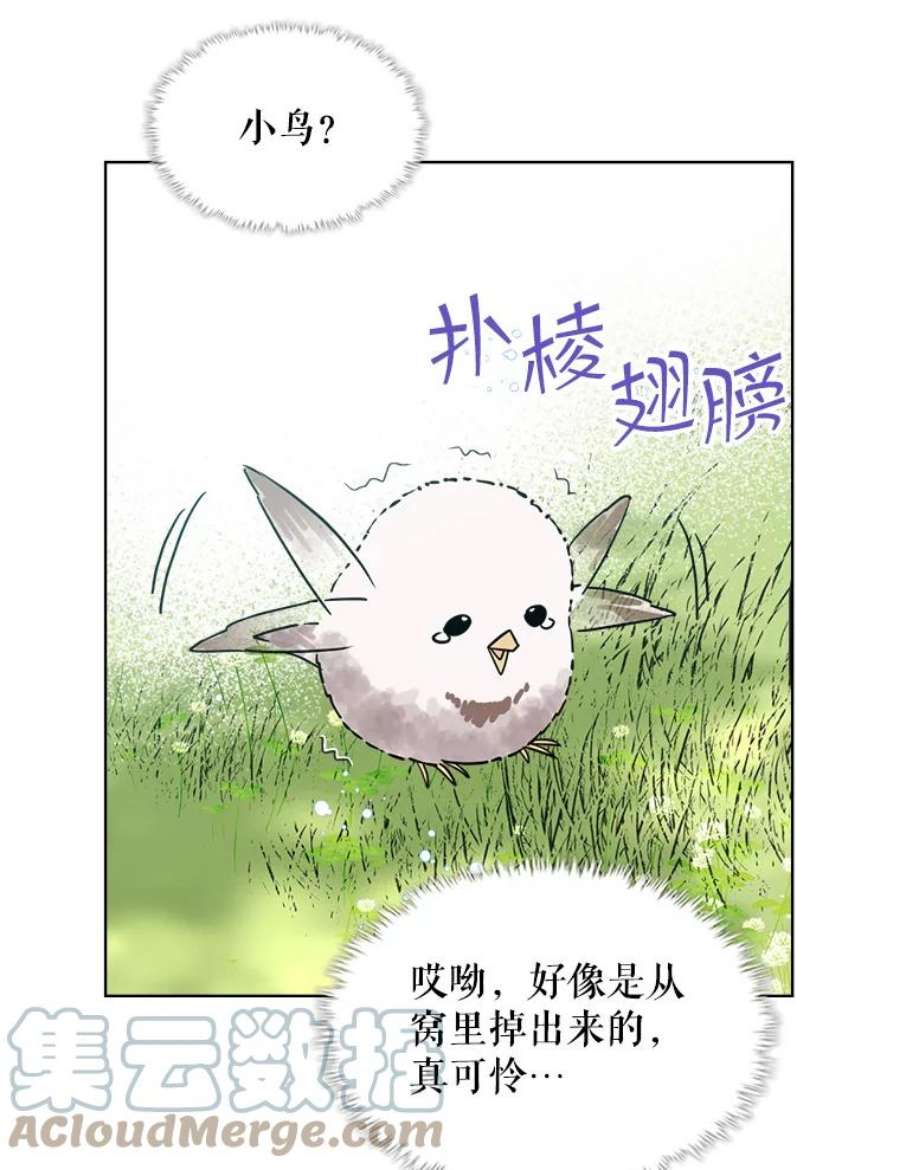 比阿特丽丝36.不要剪头发