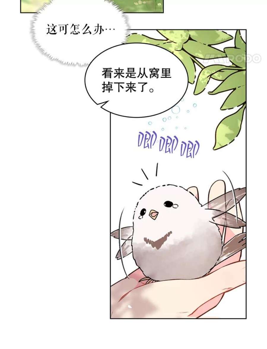 比阿特丽丝36.不要剪头发