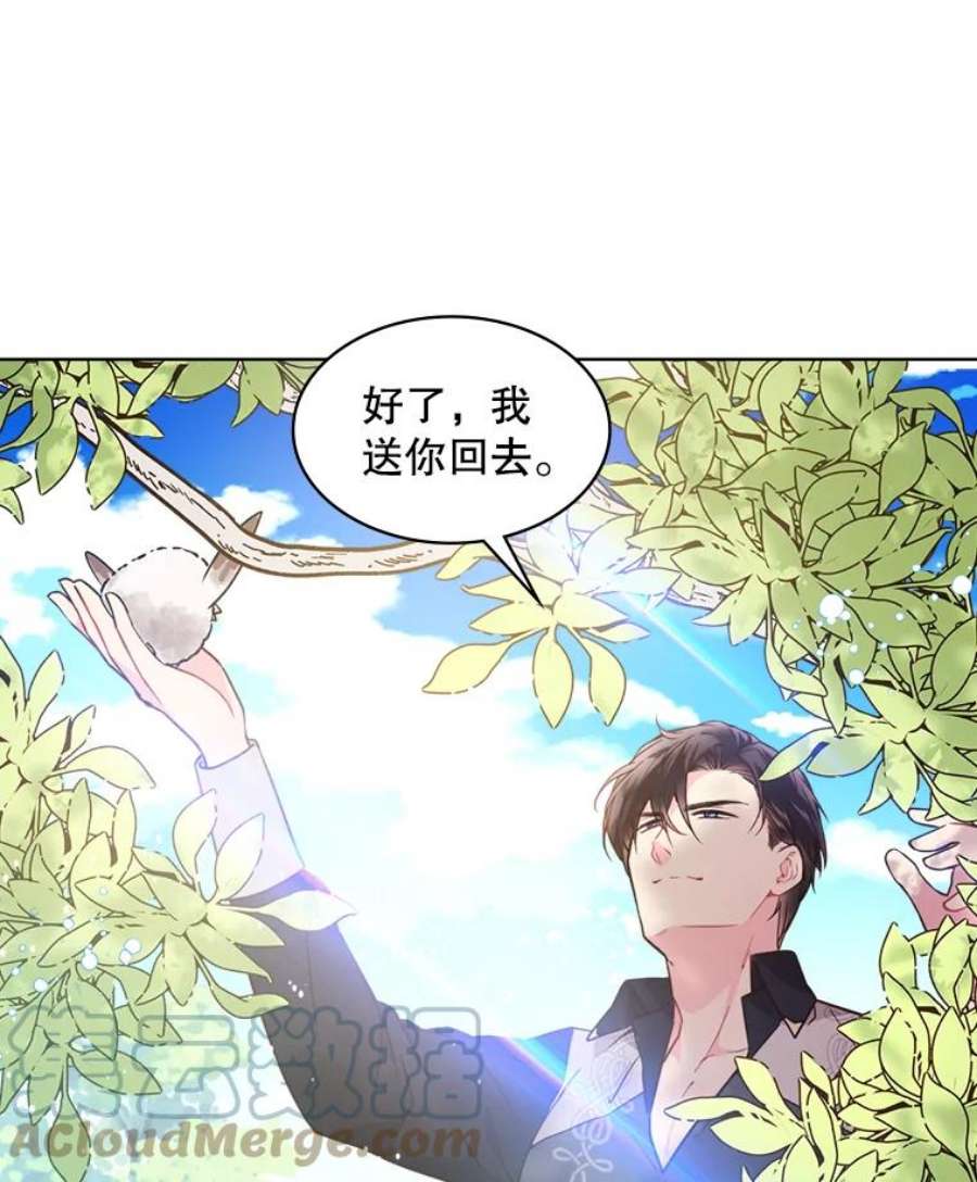 比阿特丽丝36.不要剪头发