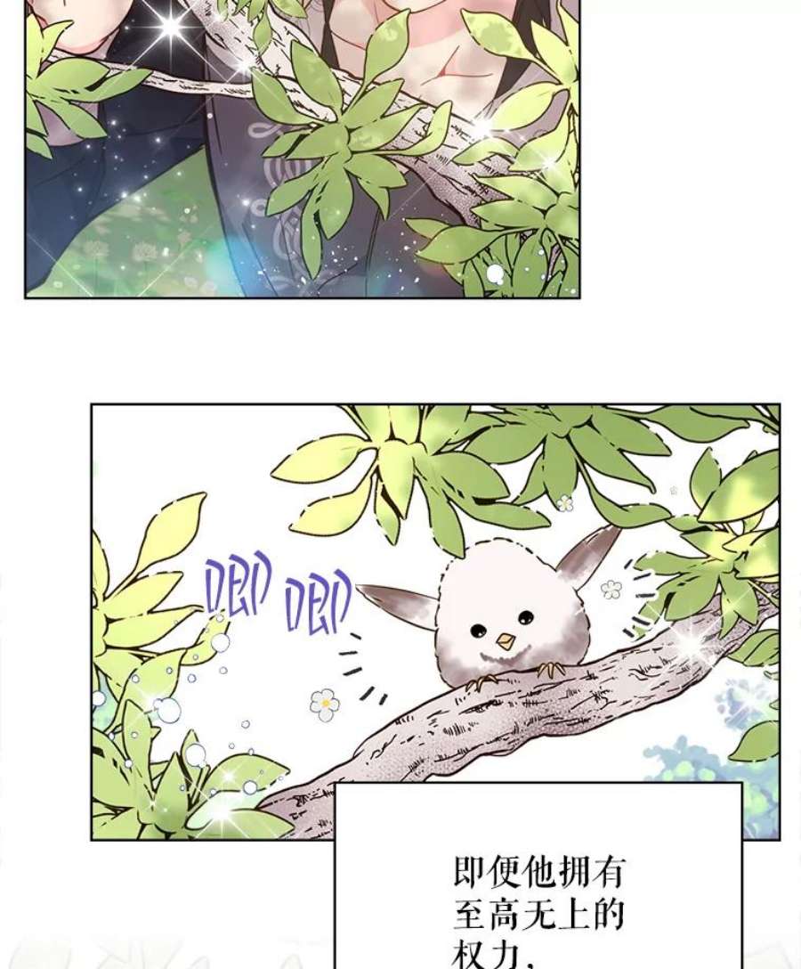 比阿特丽丝36.不要剪头发