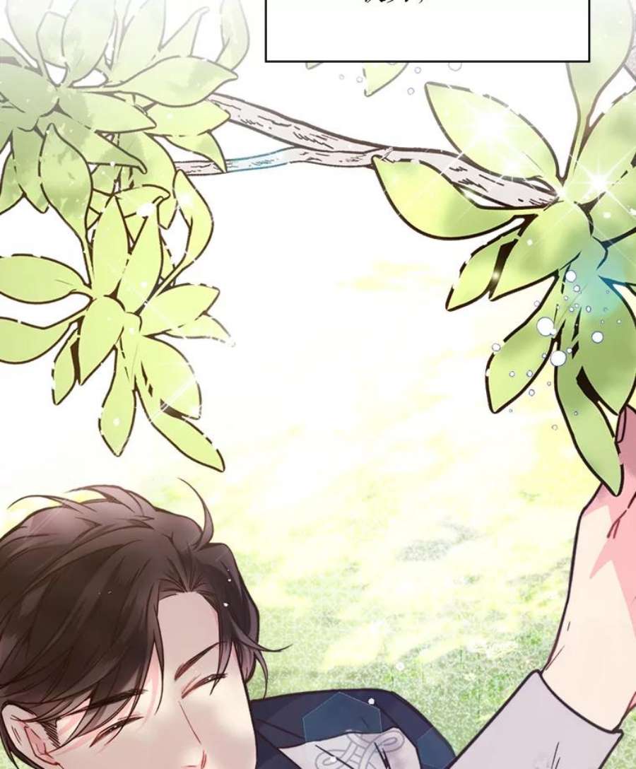 比阿特丽丝36.不要剪头发