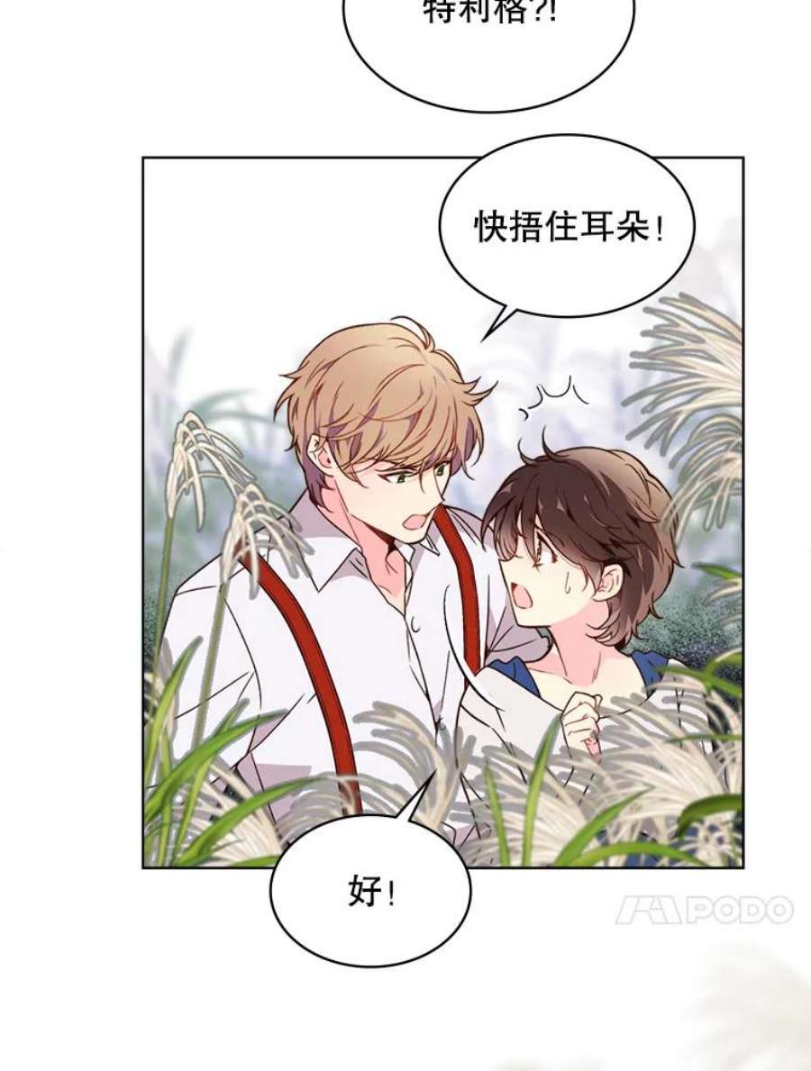 比阿特丽丝37.盗贼团伙（1）