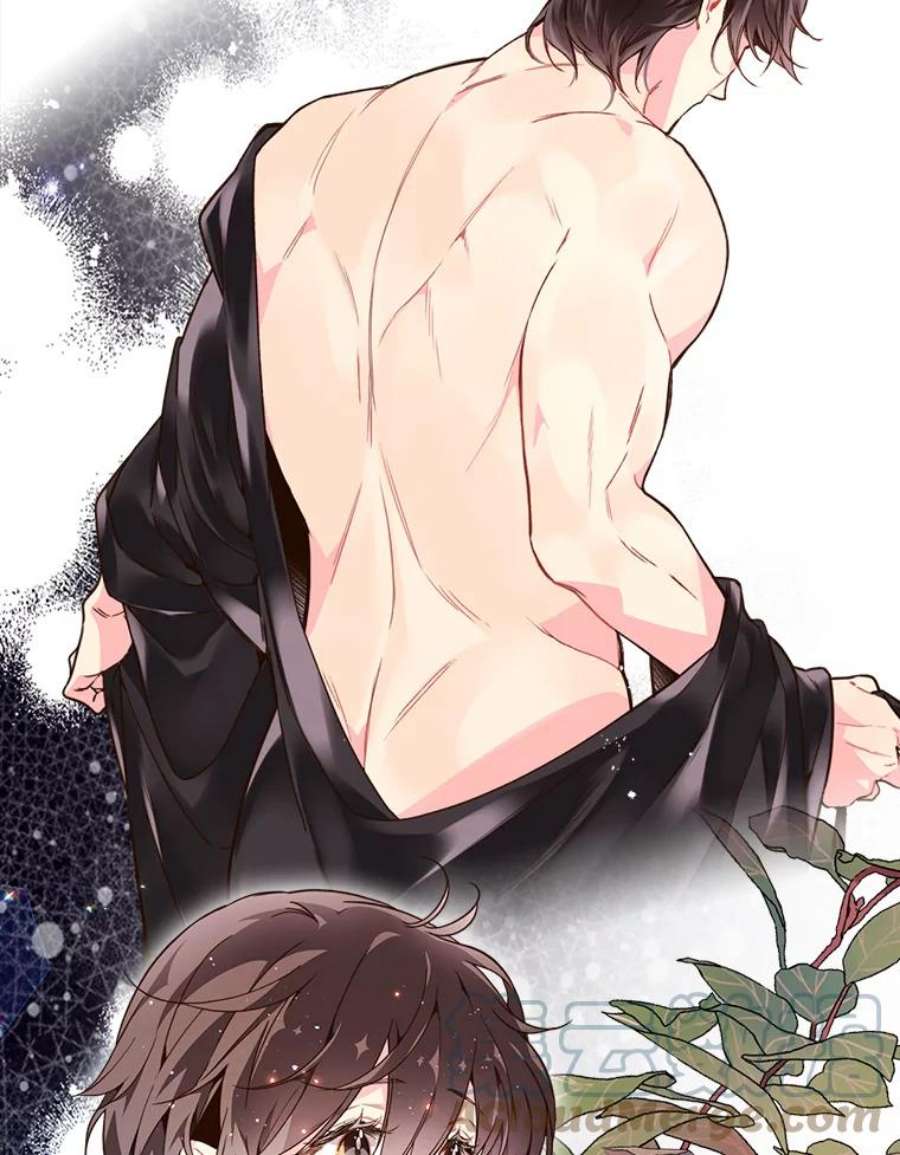 比阿特丽丝39.阴谋