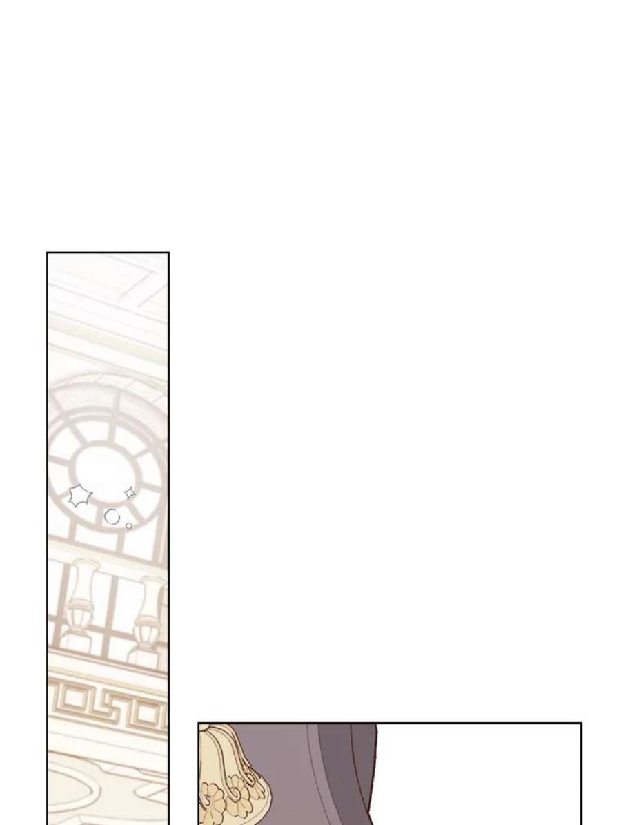 比阿特丽丝39.阴谋