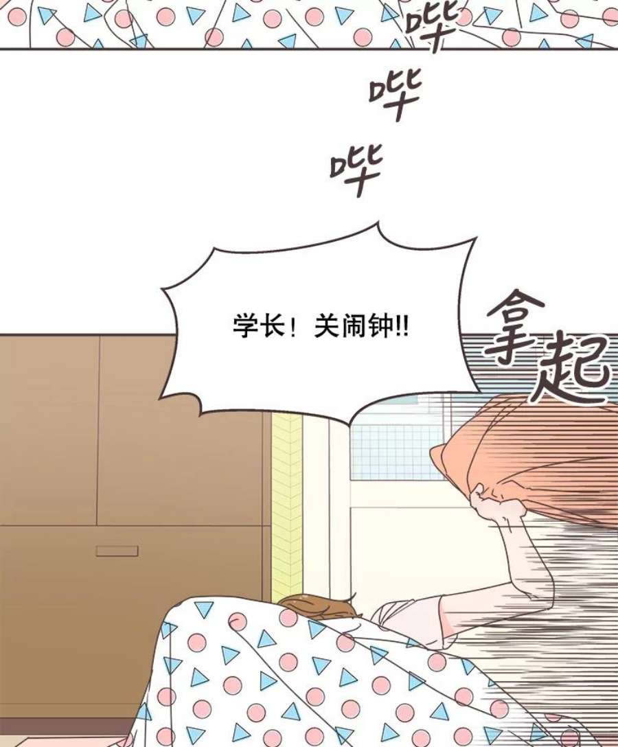 取向狙击的她100.震惊的佳音