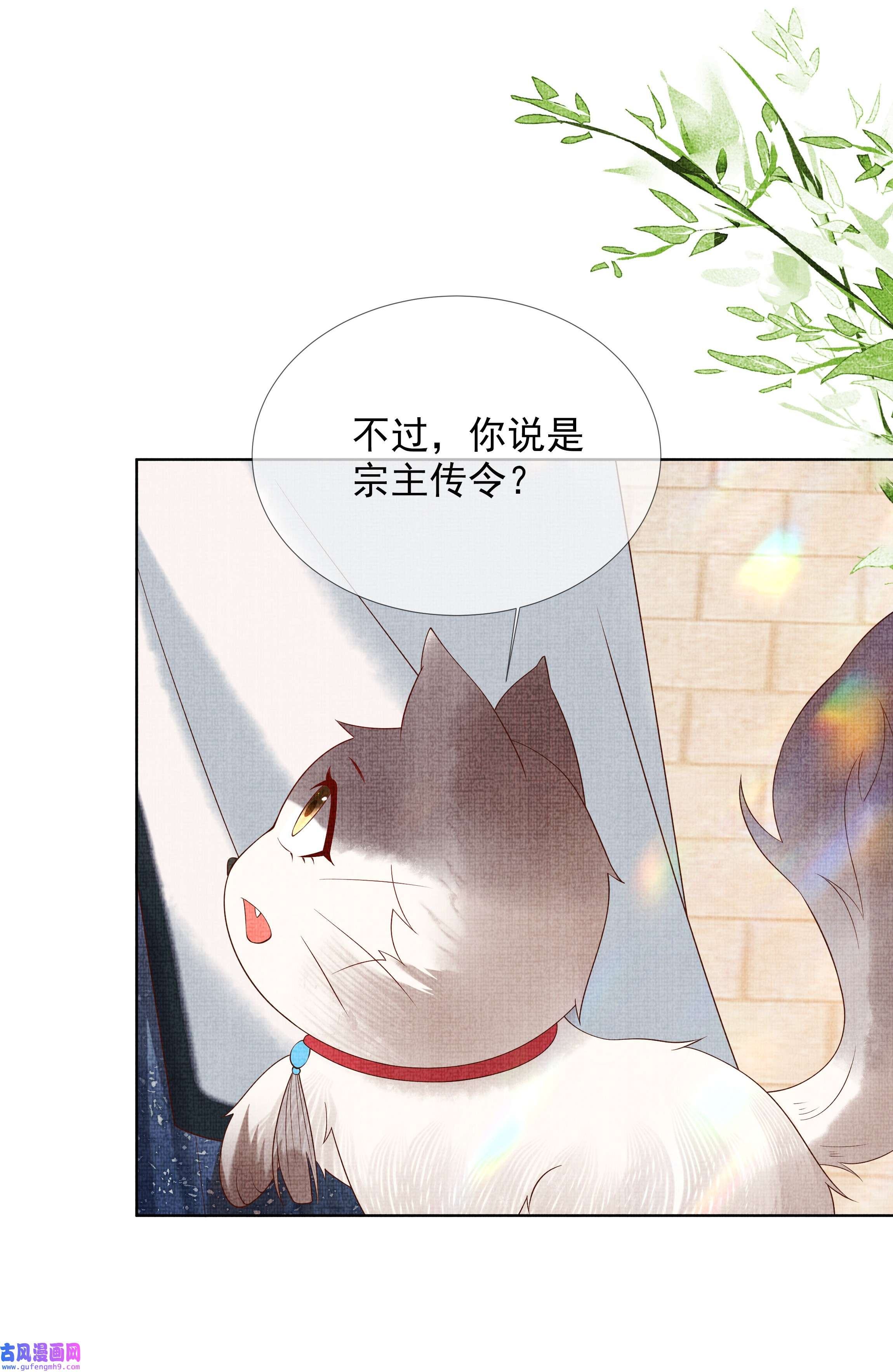 女师祖无法飞升的理由02 原来我竟不是人？