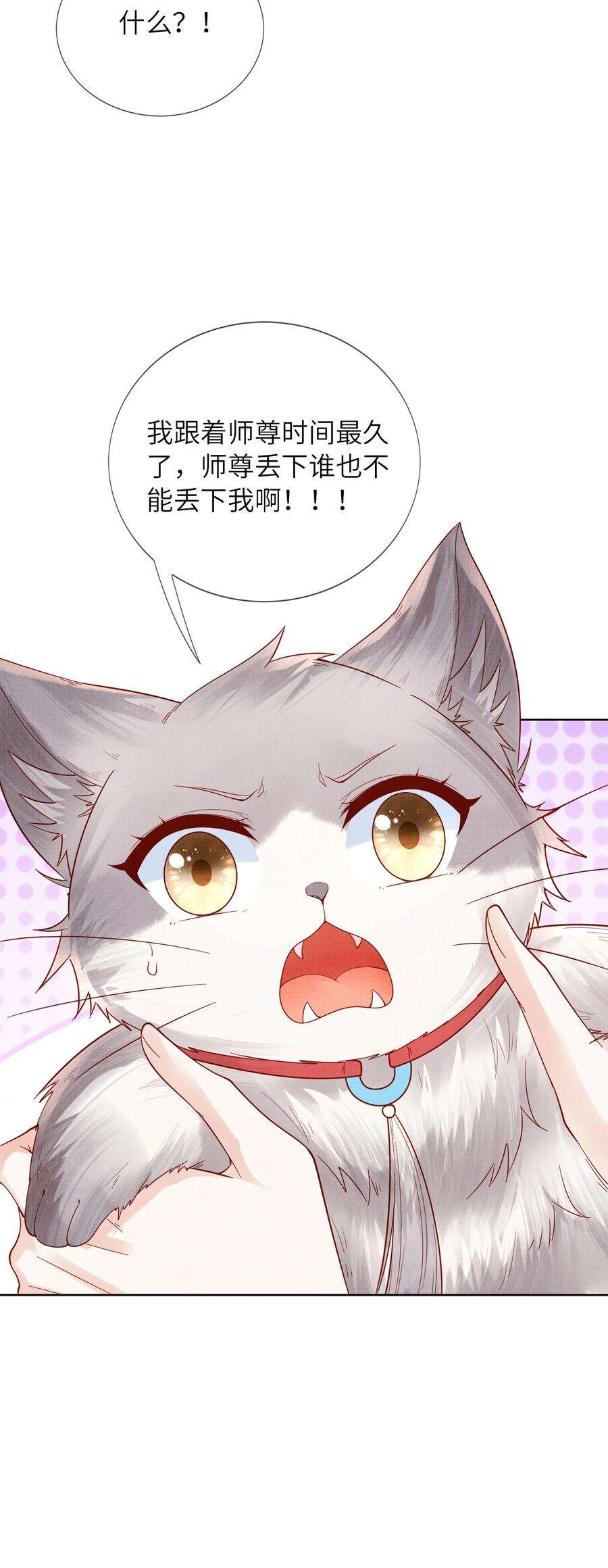 女师祖无法飞升的理由11 师尊，你就是我们想跟随的女人！