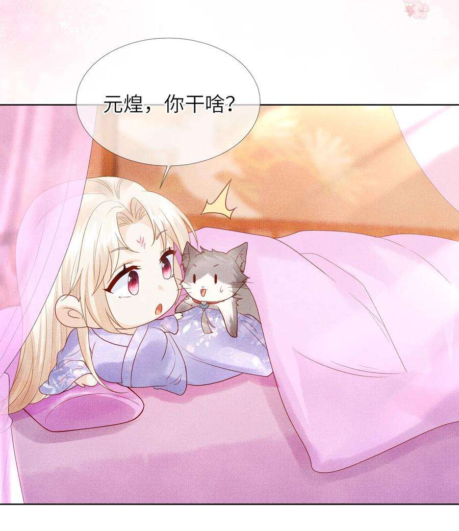 女师祖无法飞升的理由11 师尊，你就是我们想跟随的女人！