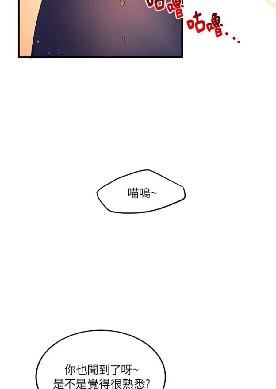 公爵中了爱情魔咒28话