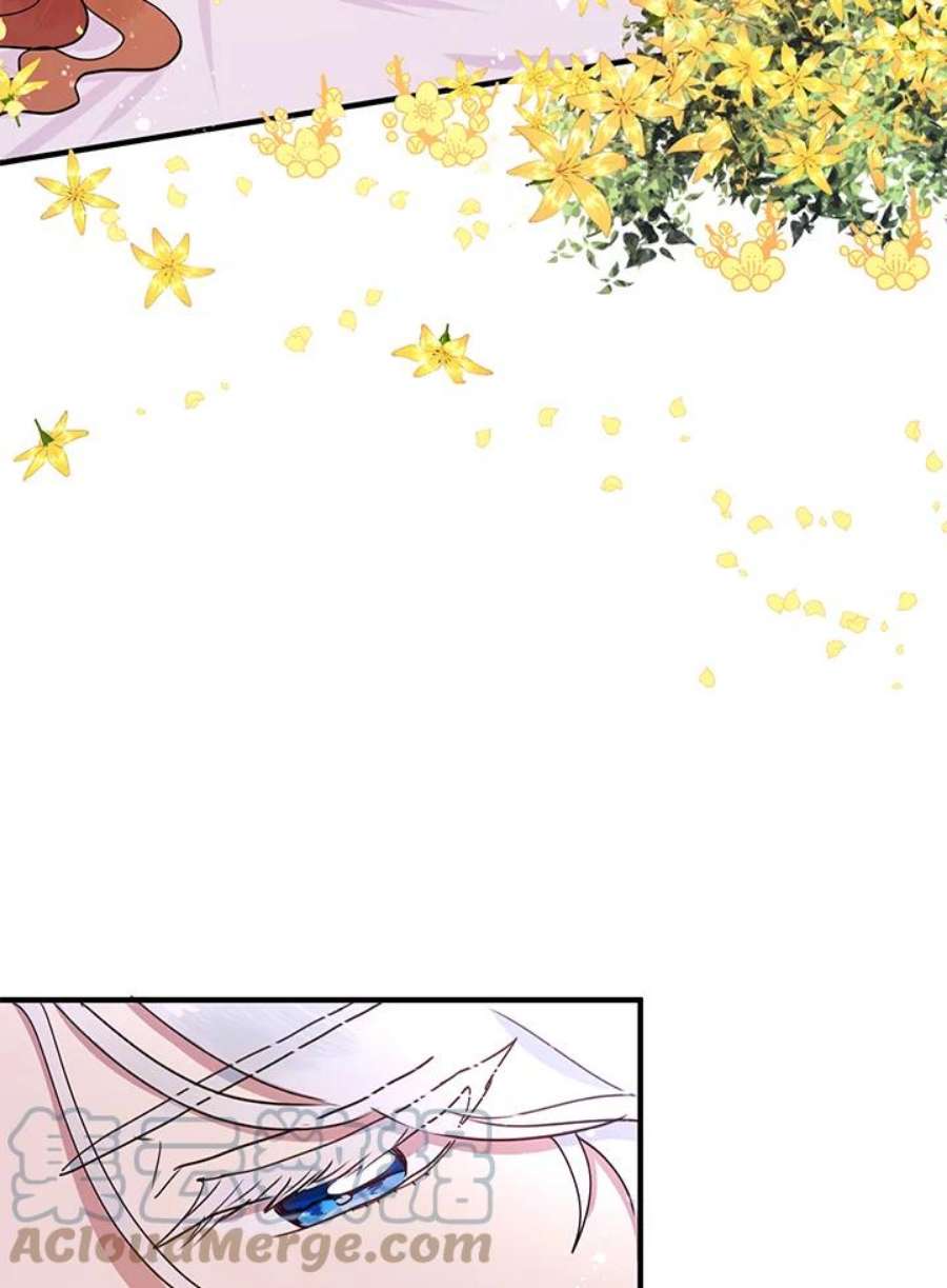 公爵中了爱情魔咒45话