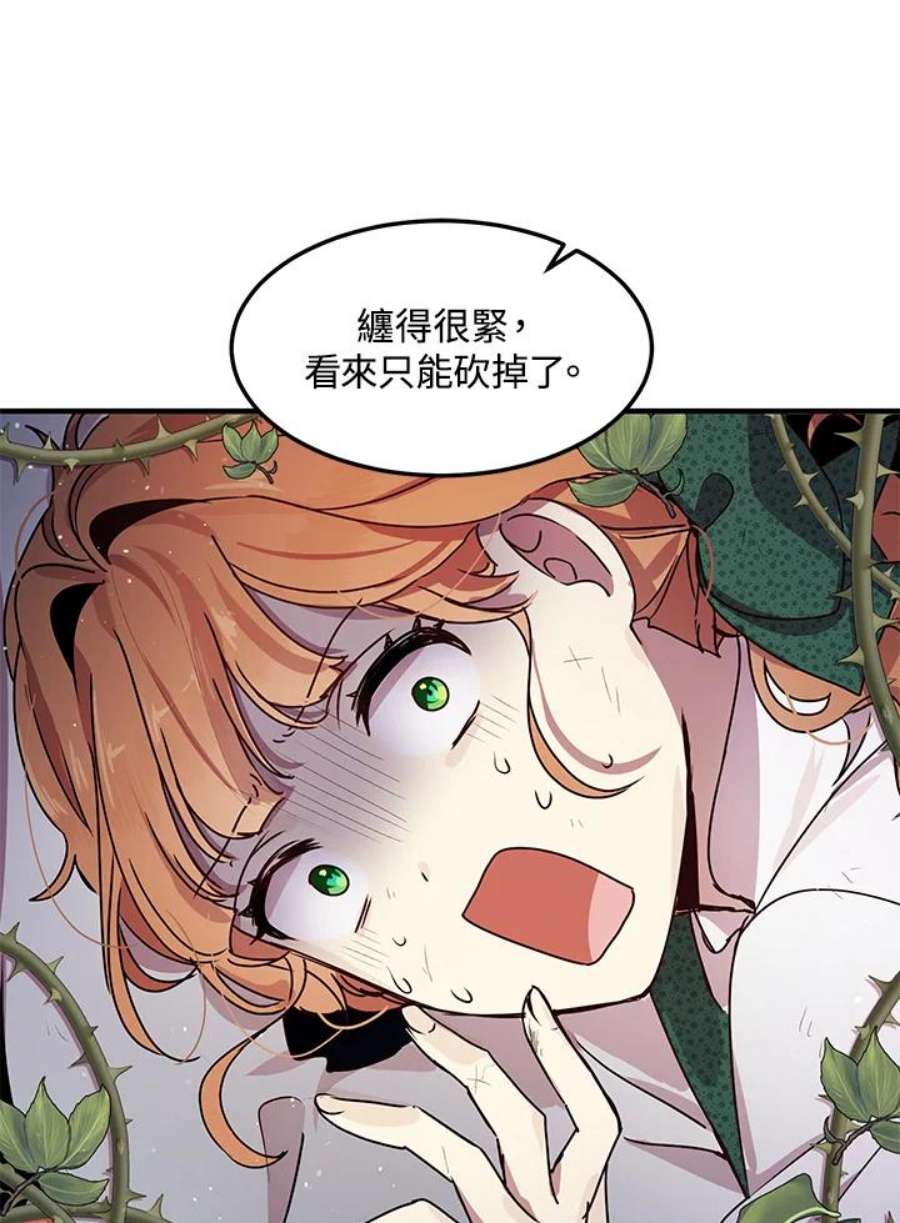 公爵中了爱情魔咒94话