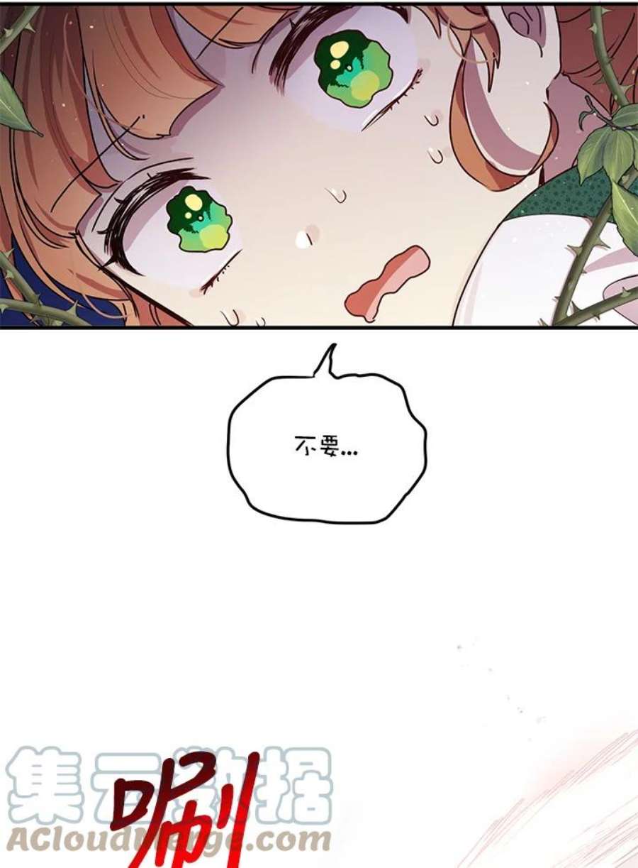公爵中了爱情魔咒94话