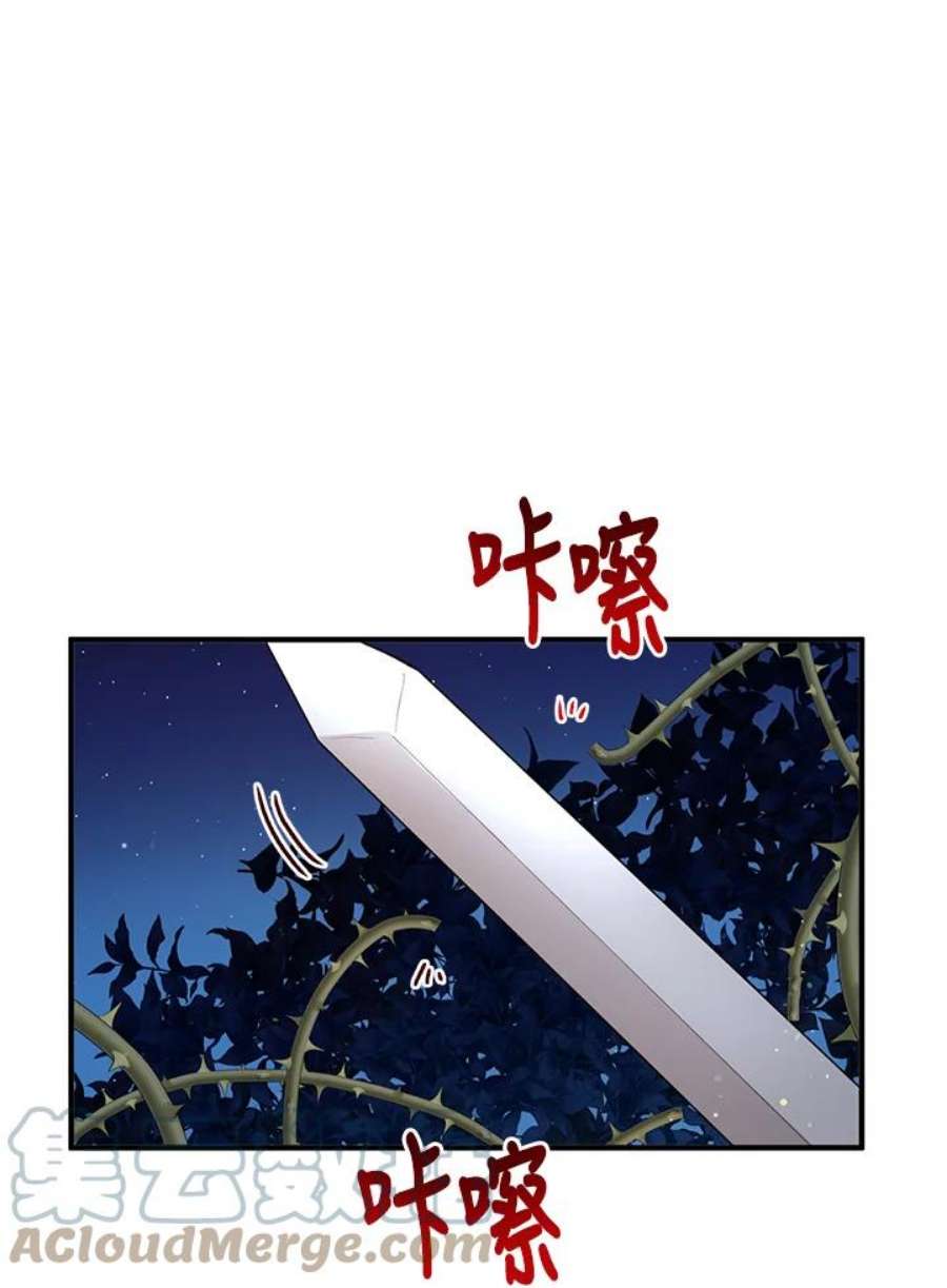 公爵中了爱情魔咒94话