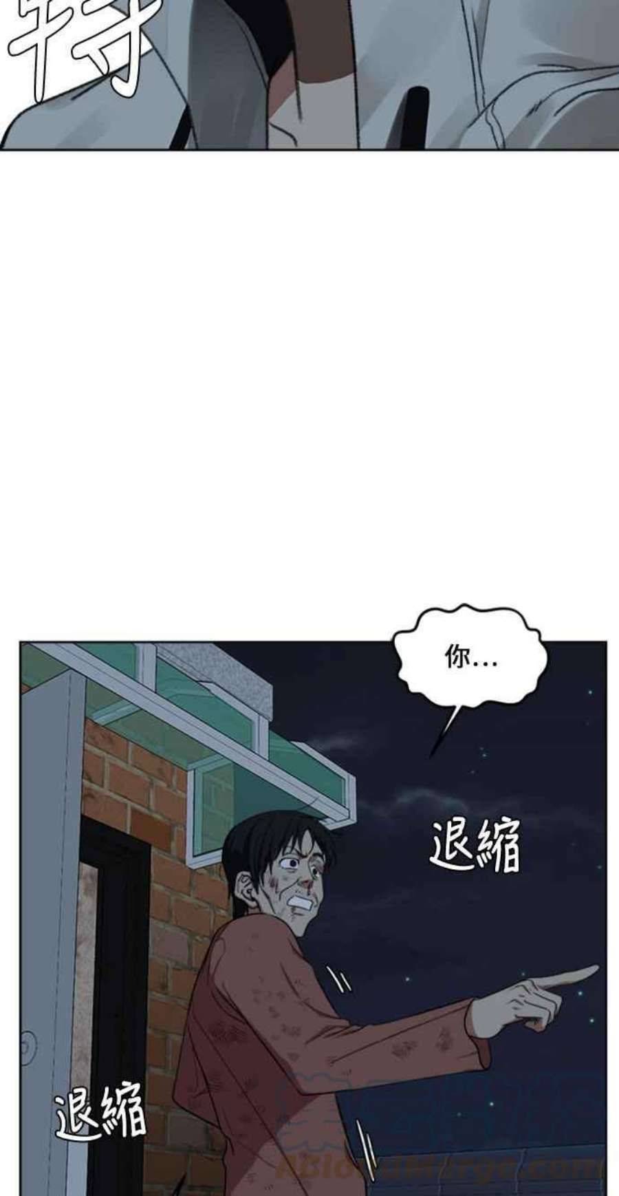 盗脸人生郑絃珠 15