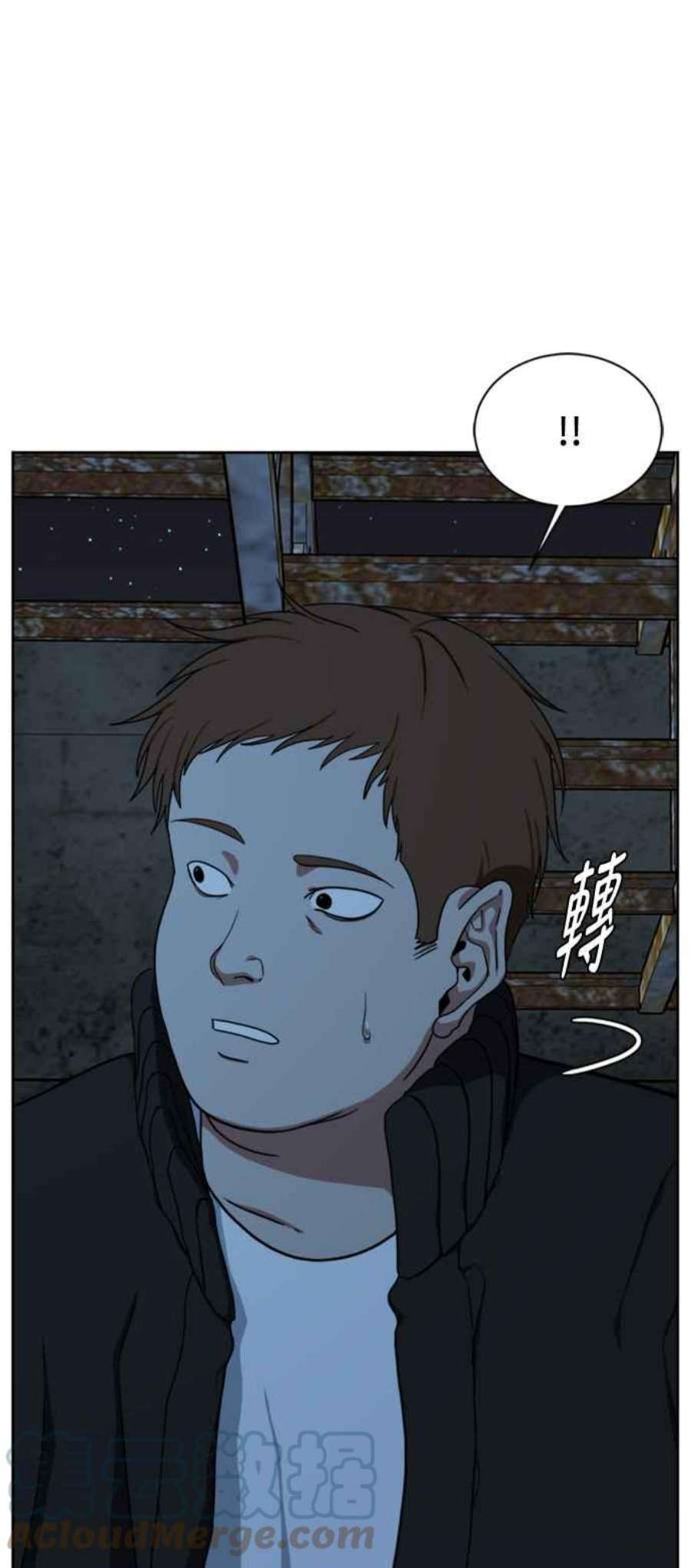 盗脸人生郑絃珠 19