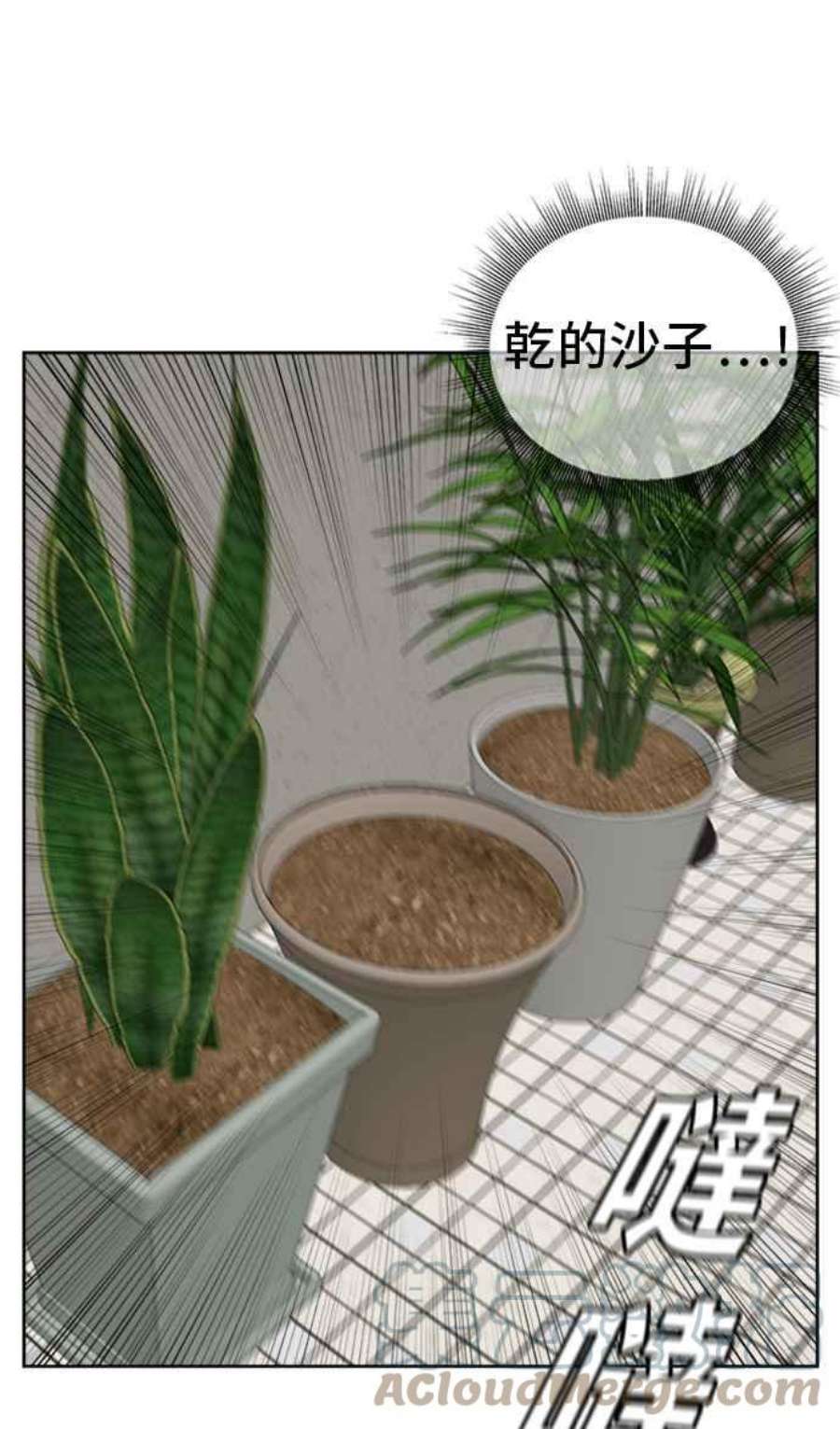 盗脸人生裵善忠 3