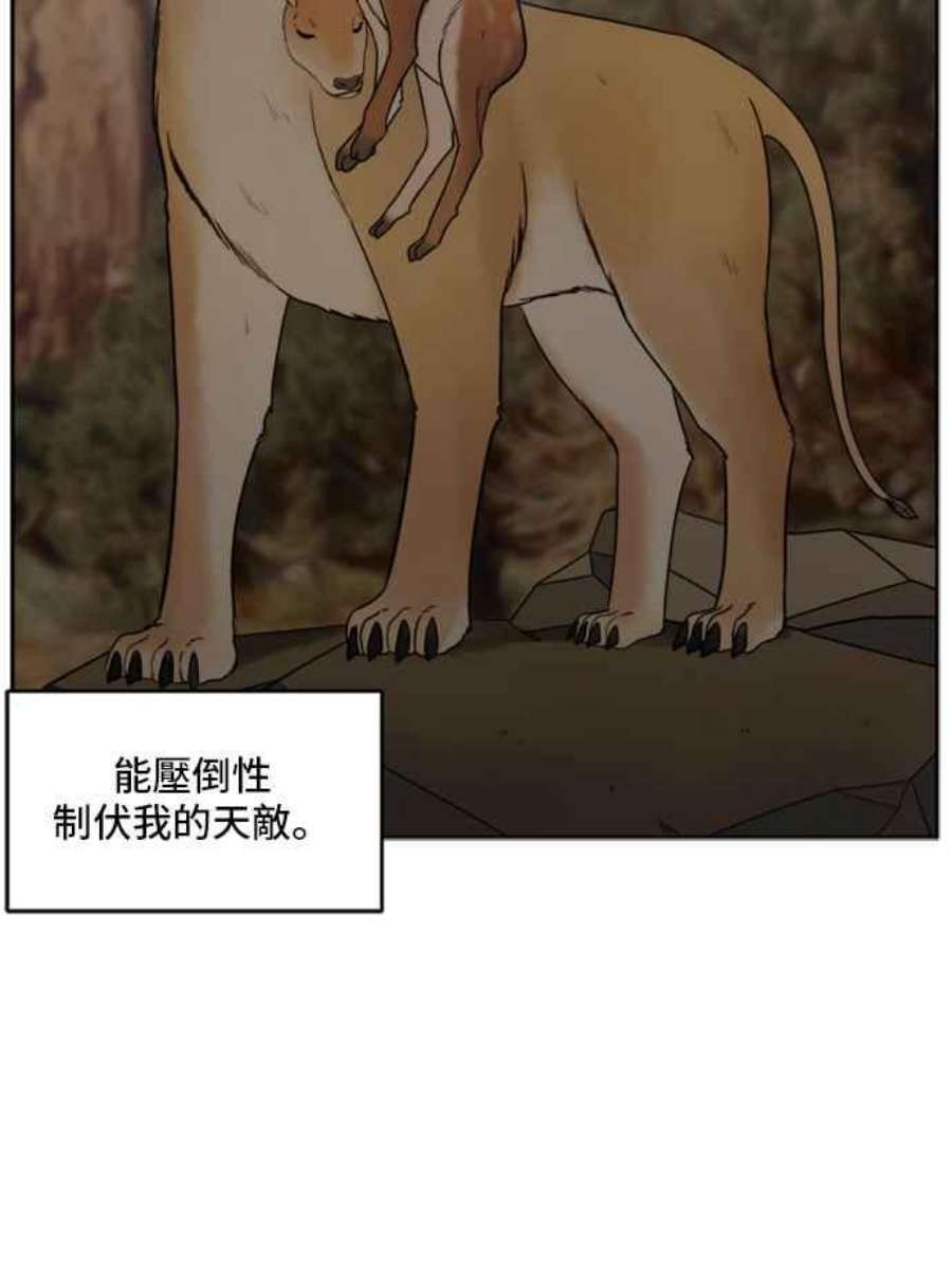 盗脸人生裵善忠 4