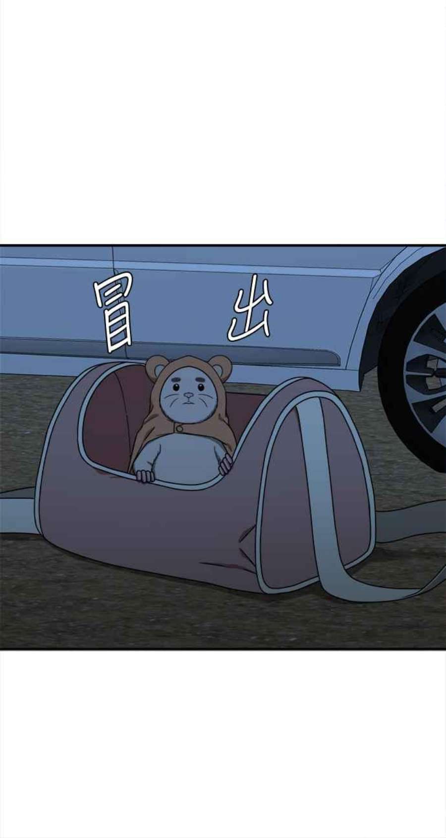 盗脸人生河娜永 8
