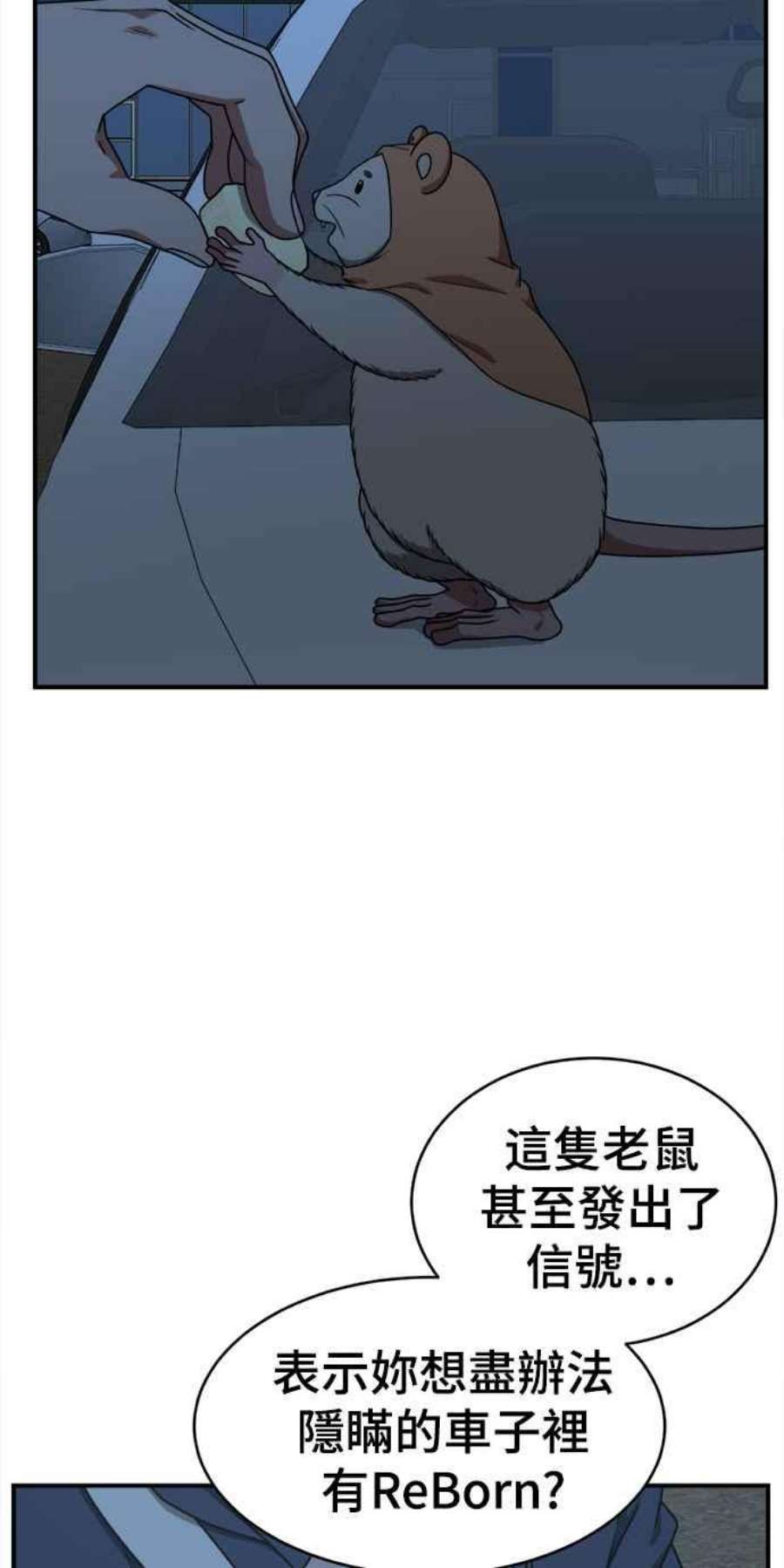 盗脸人生河娜永 8