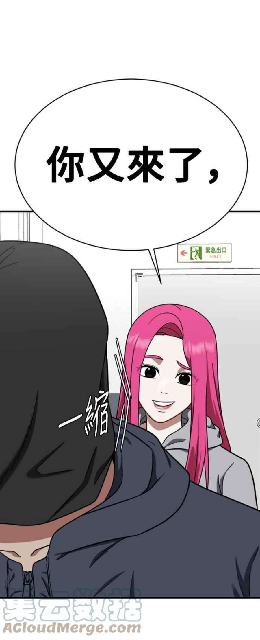 盗脸人生河娜永 11