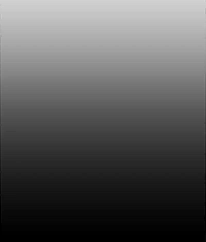 穿越成炮灰的我绝不认输02 下一任家主