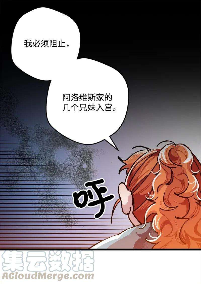 穿越成炮灰的我绝不认输02 下一任家主