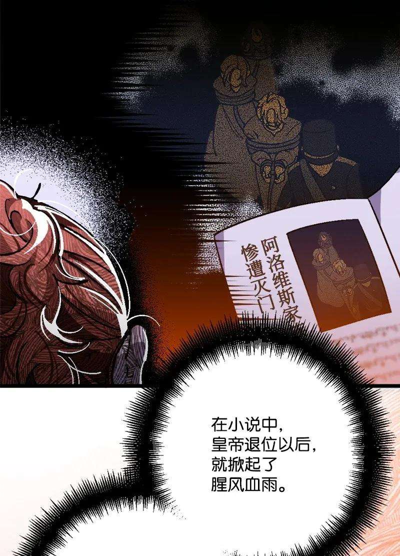 穿越成炮灰的我绝不认输02 下一任家主