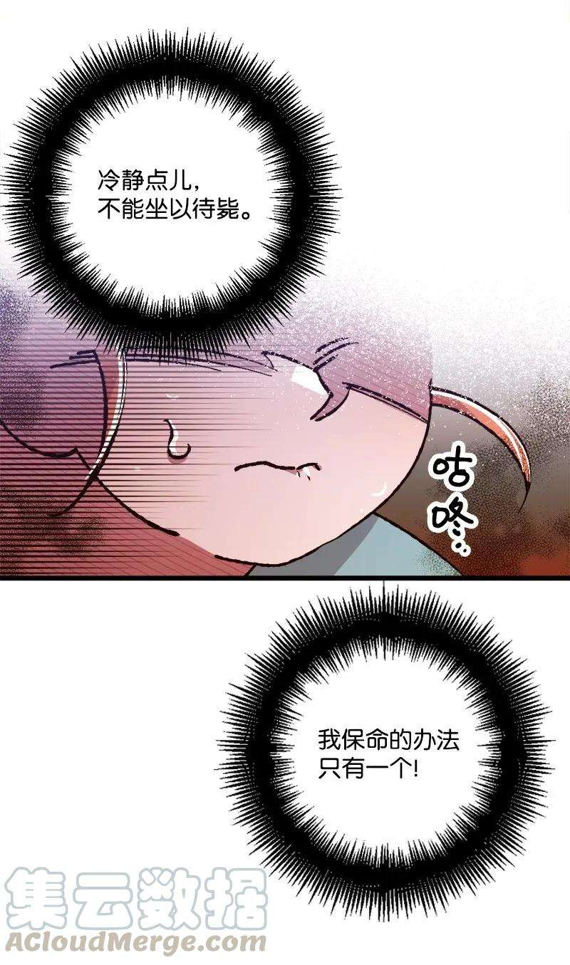 穿越成炮灰的我绝不认输02 下一任家主