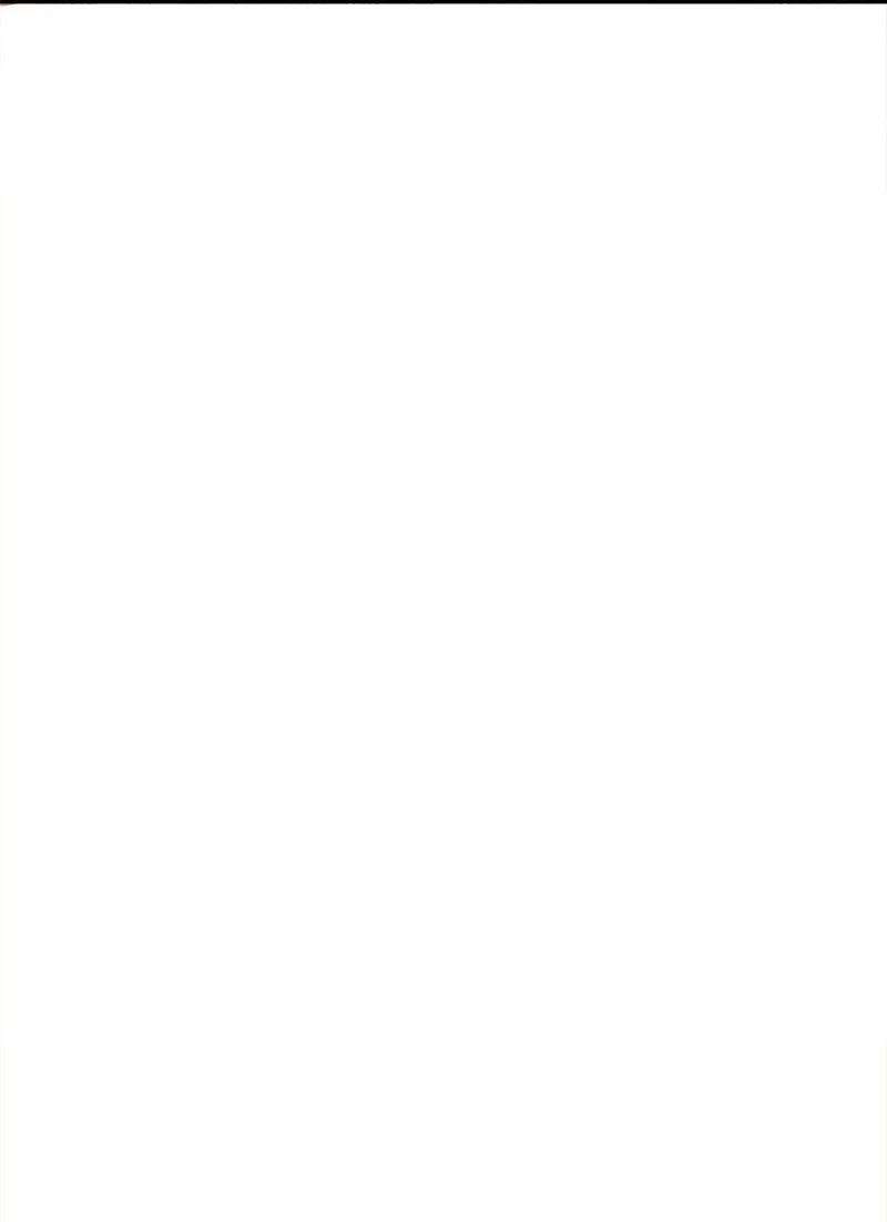 穿越成炮灰的我绝不认输11 功绩累累的二皇子