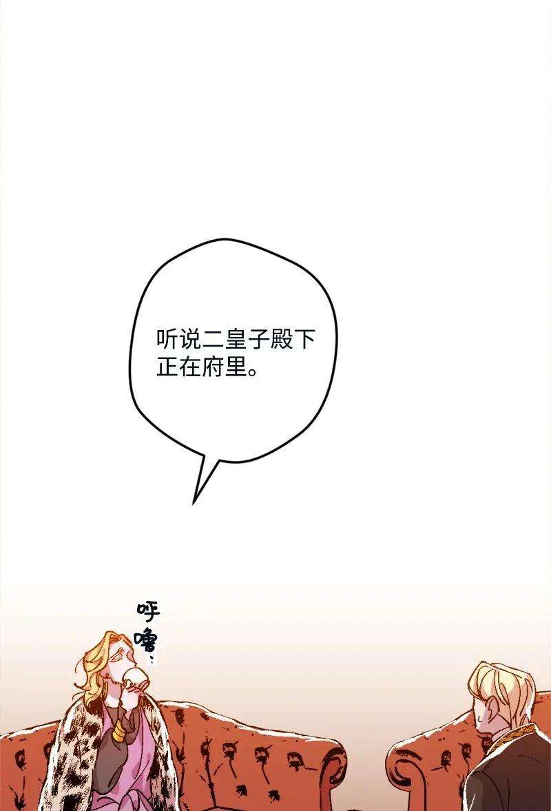 穿越成炮灰的我绝不认输11 功绩累累的二皇子