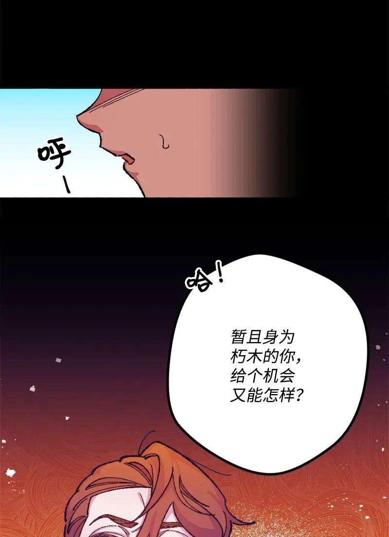 穿越成炮灰的我绝不认输18 无法透露的秘密